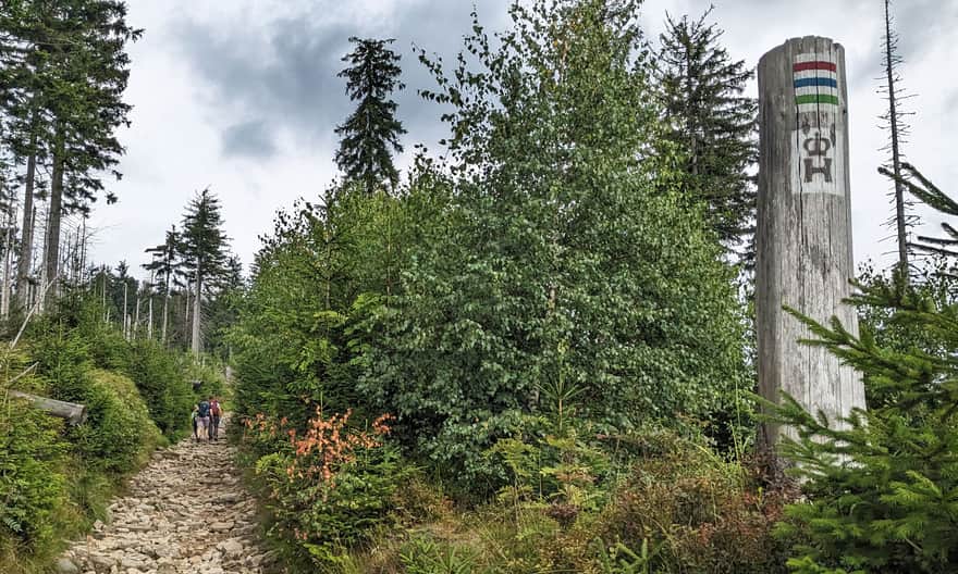 From PTTK Przysłop Shelter to the top of Barania Góra