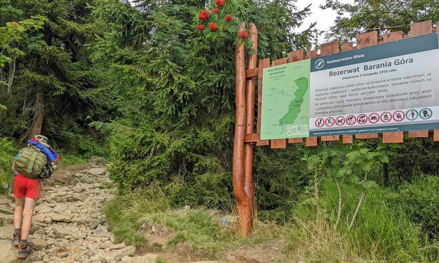 Regulations of the Barania Góra Reserve