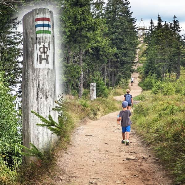 Trail from PTTK Przysłop Shelter to Barania Góra