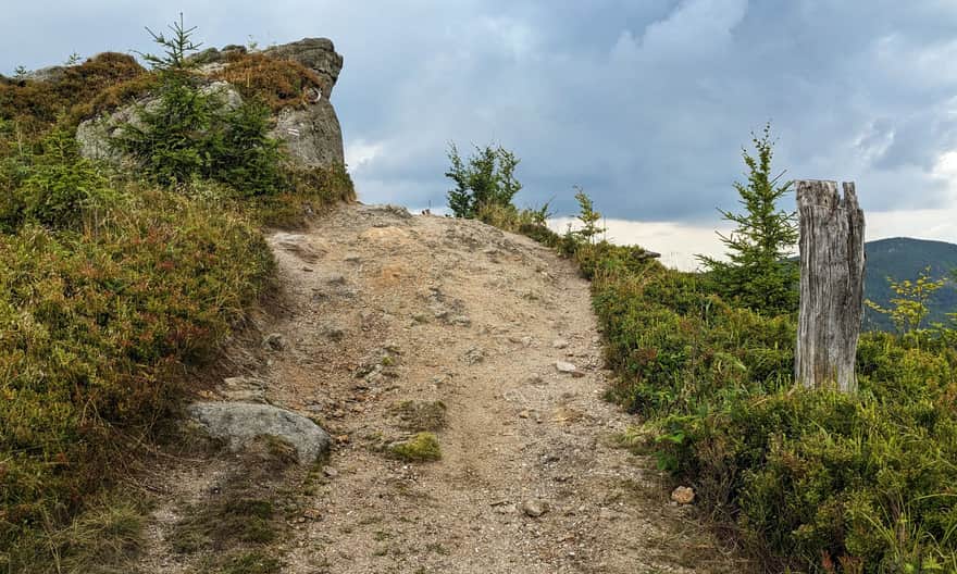 Czerwony szlak z Węgierskiej Górki na Baranią Górę. Skały na Magurce Radziechowskiej
