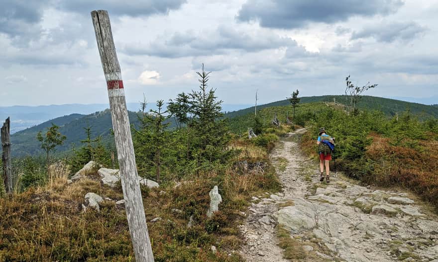 Red trail from Węgierska Górka to Barania Góra