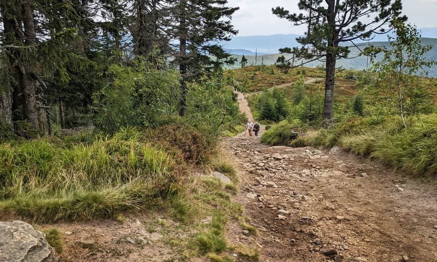 Ascent to the top of Barania Góra from Magurka Wiślańska