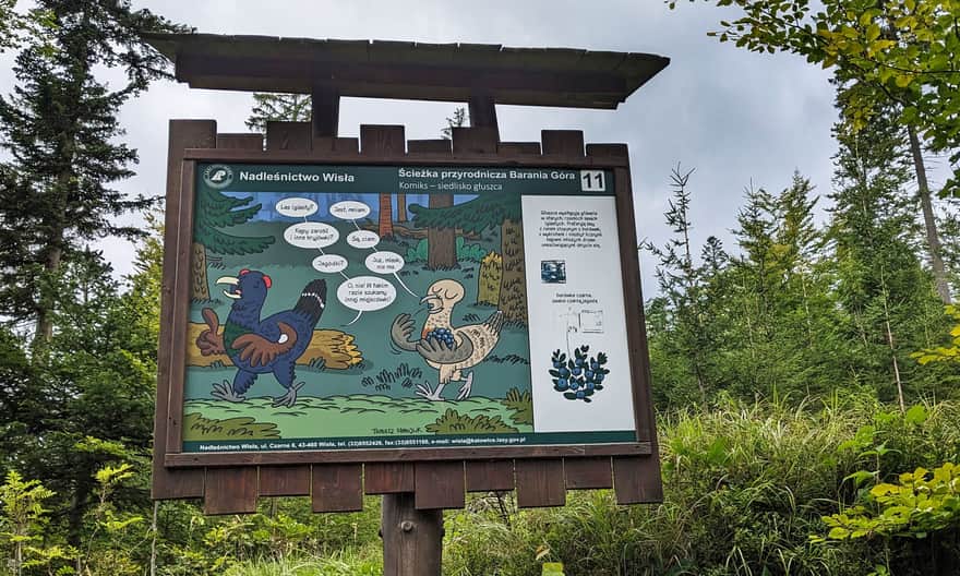 Jedna z tablic ścieżki przyrodniczej "Barania Góra"