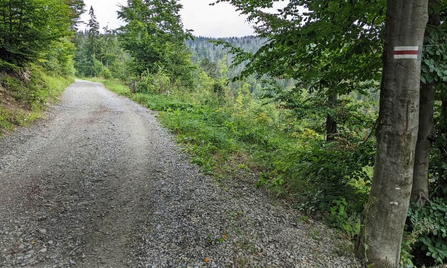 Droga dojazdowa do Schroniska PTTK Przysłop