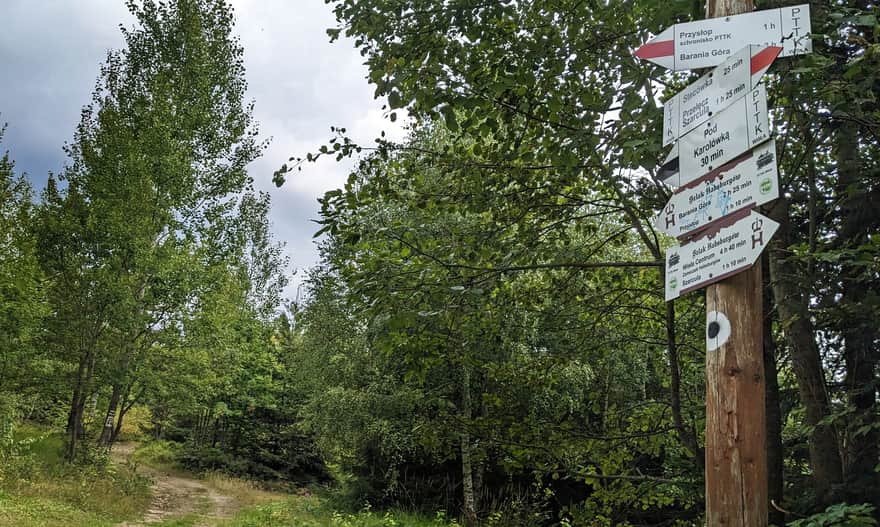 Ze Stecówki na Baranią Górę - skrzyżowanie ze szlakiem na Karoloówkę