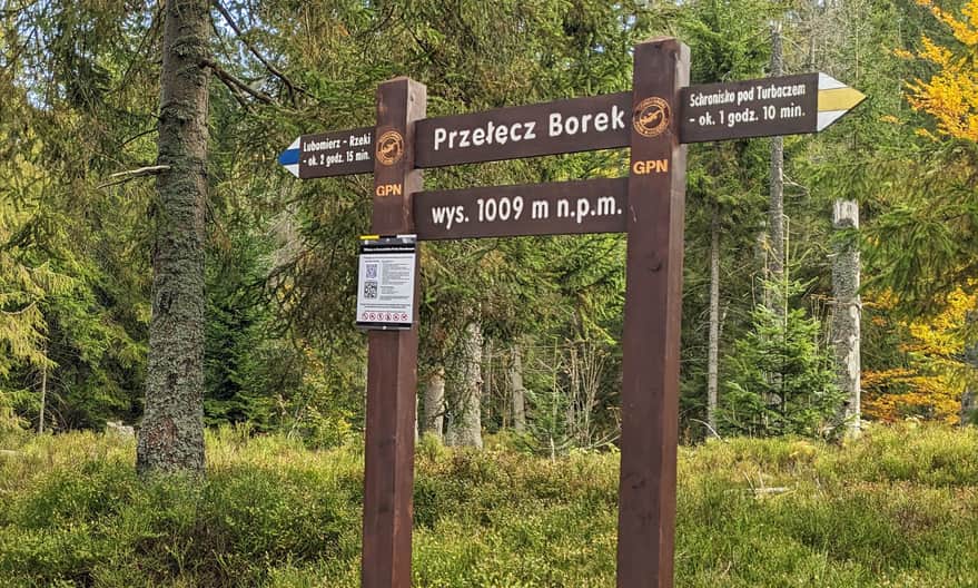 Przełęcz Borek na żółtym szlaku Lubomierz - Turbacz