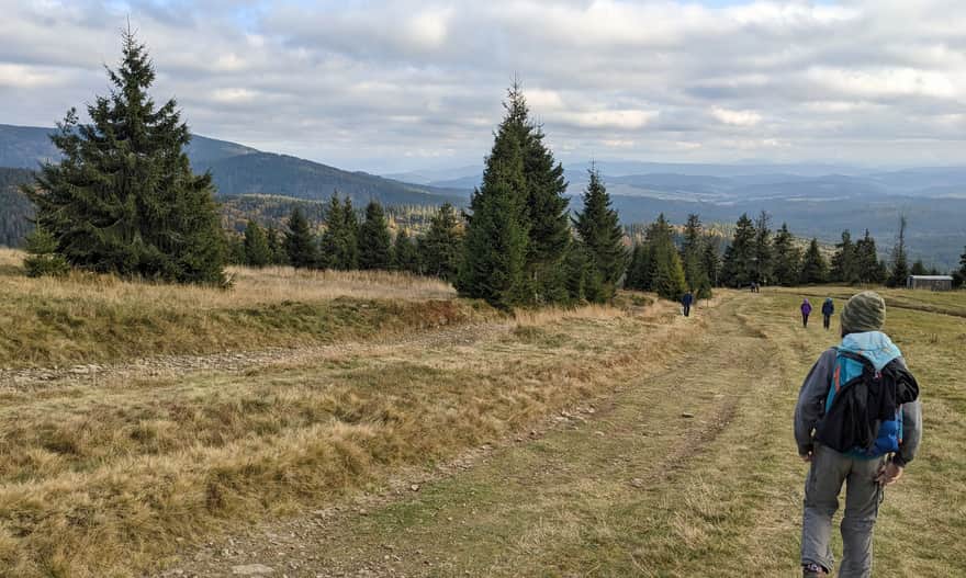 Czerwony szlak Rysianka - Hala Miziowa. Zejście z Hali Rysianka