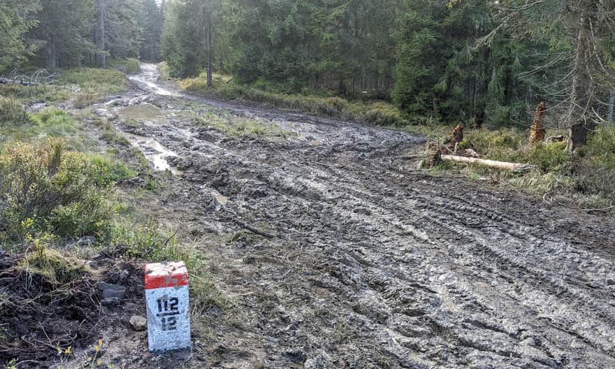 Czerwony szlak Rysianka - Hala Miziowa. Odcinek granicą polsko-słowacką