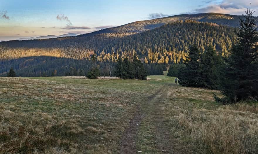 Czerwony szlak Rysianka - Hala Miziowa. Widok na Pilsko i Babią Górę z Hali Cudzichowej