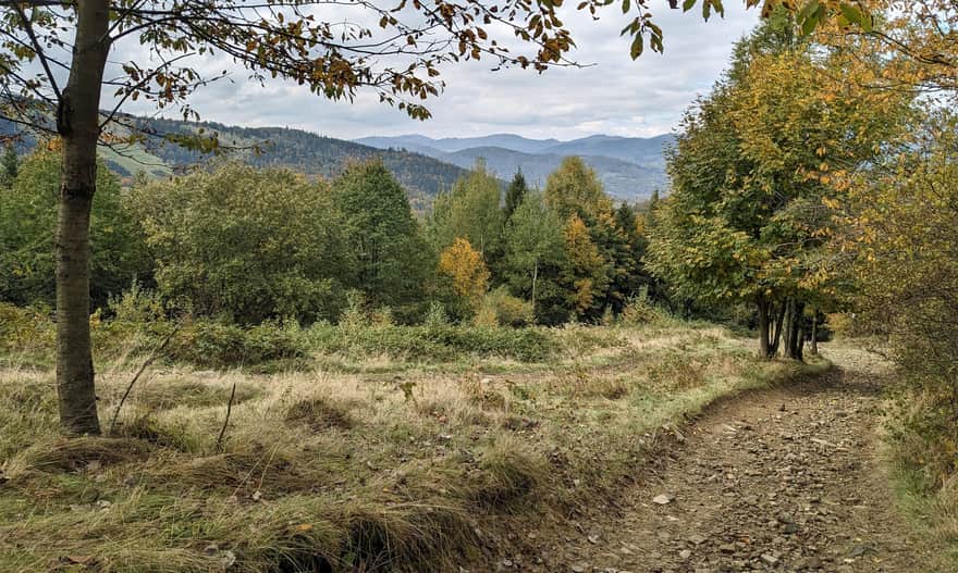 Czerwony szlak Węgierska Górka - Słowianka. Widokowe łąki