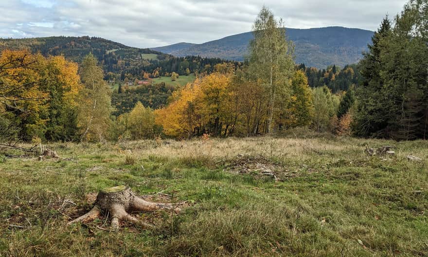 Czerwony szlak Węgierska Górka - Słowianka. Widok na Romankę