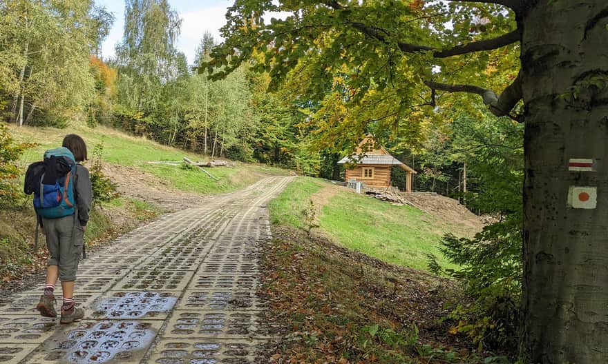 Czerwony szlak Węgierska Górka - Słowianka. Osiedle Abrahamów
