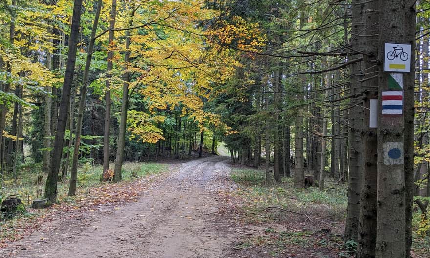 Czerwony szlak Węgierska Górka - Słowianka. Dojście do Słowianki