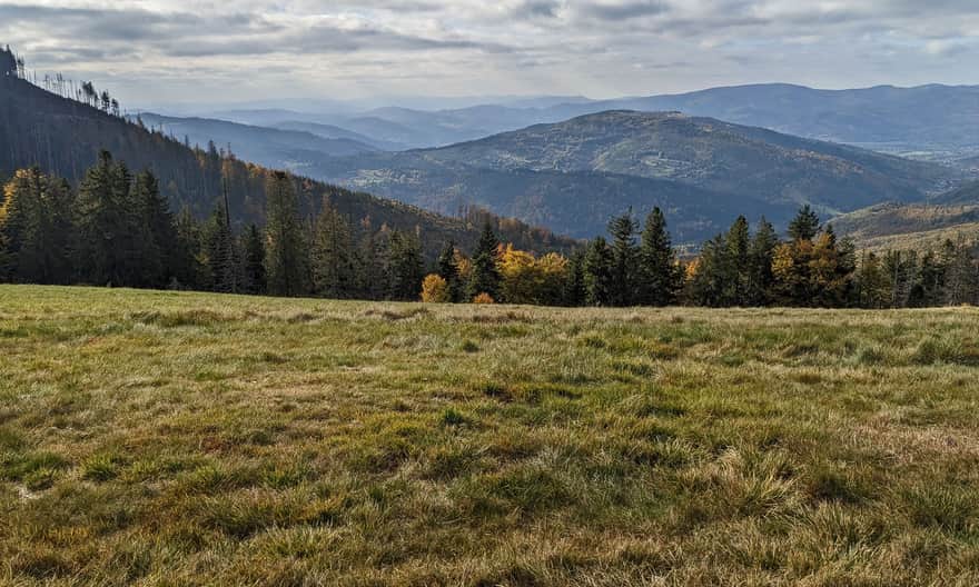 Widok z Hali Pawlusiej