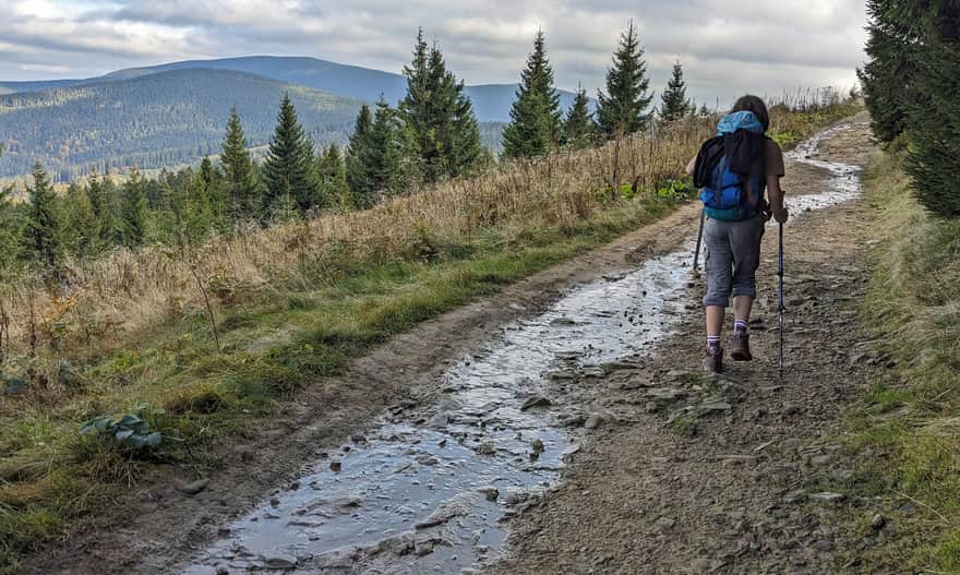 Widok na Pilsko z drogi prowadzącej do Rysianki