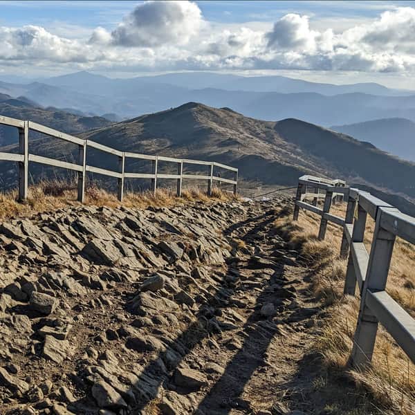 The Most Beautiful Trail in the Bieszczady Mountains: Through Rozsypaniec and Halicz to Tarnica