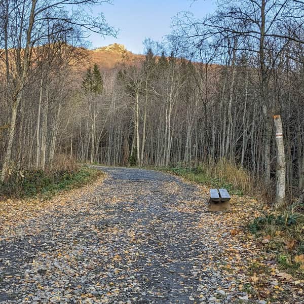 Trail from Wołosate to Bukowska Pass