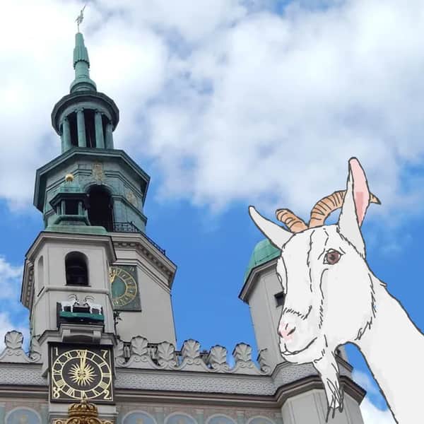 Szpiedzy Wiedzy w Poznaniu