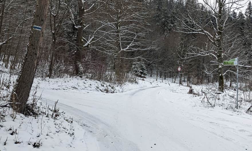 Blue Trail: Wisła Głębce - Stożek Wielki