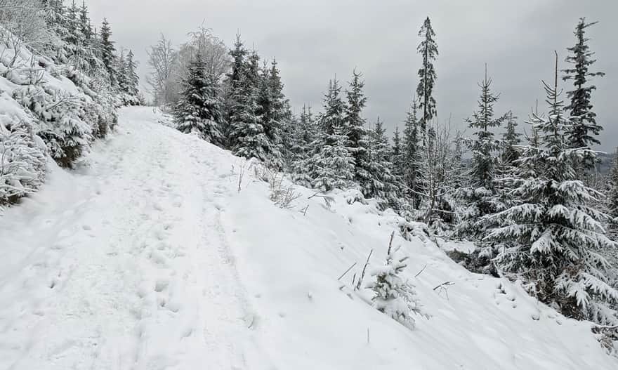Blue Trail. Section between Łączecko Pass and Stożek Wielki