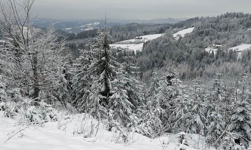 Blue Trail. View to the Northeast from the section between Łączecko Pass and Stożek Wielki