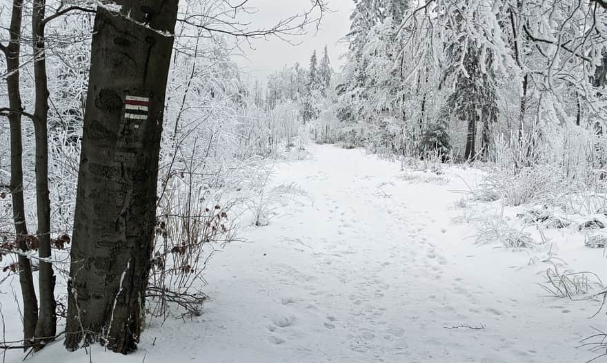 Approach to the PTTK Mountain Hut on Stożek Wielki