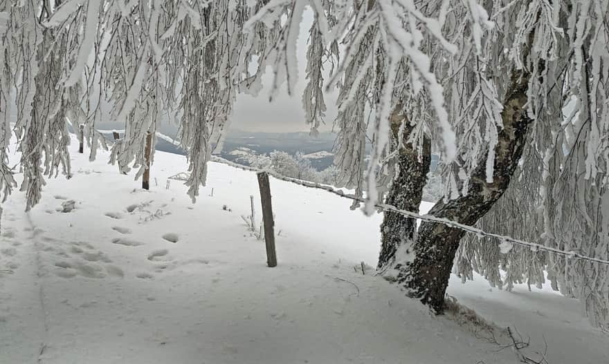 Between Cieślar and Soszów Wielki