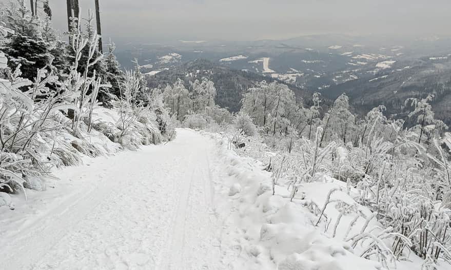Descent from Stożek Wielki towards Soszów