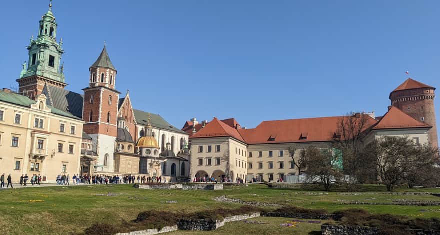 Fot. M. Mleczko