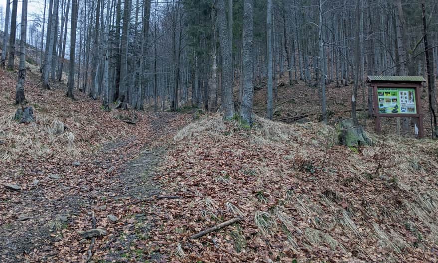 Beskidzka Zielona Ścieżka i Rezerwat Śrubita