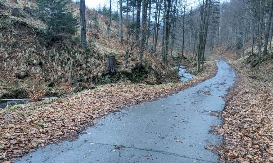 Dolina Potoku Śrubita - dojście do Beskidzkiej Zielonej Ścieżki