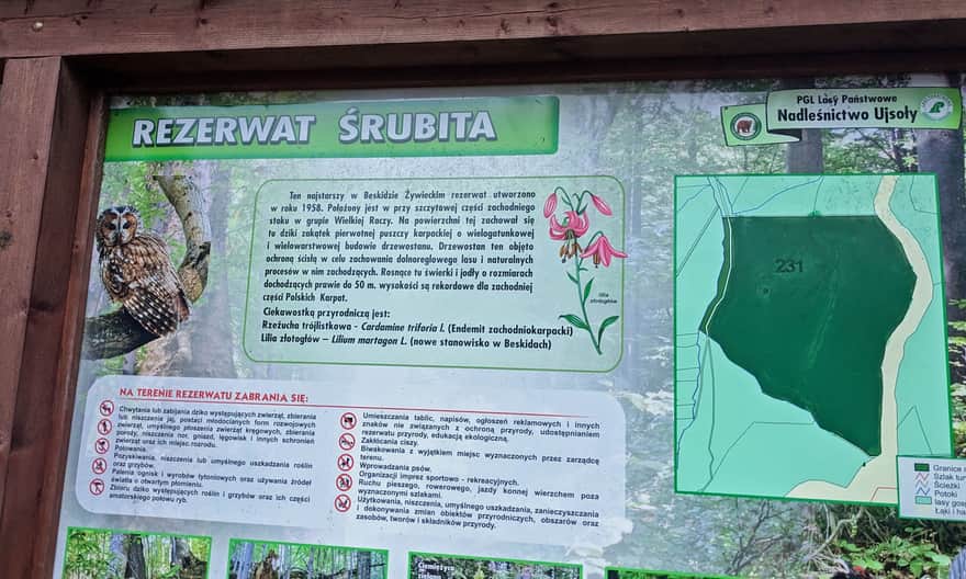 Beskidzka Zielona Ścieżka i Rezerwat Śrubita