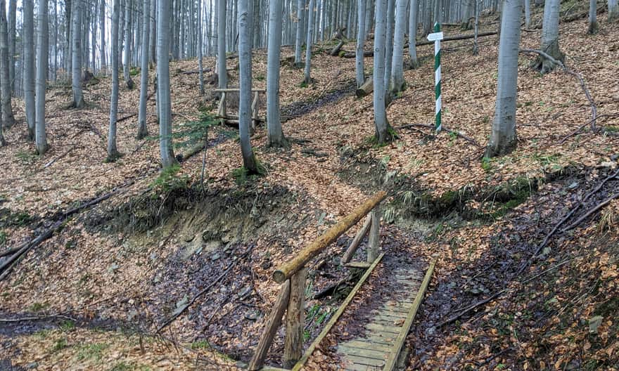 Beskidzka Zielona Ścieżka i Rezerwat Śrubita