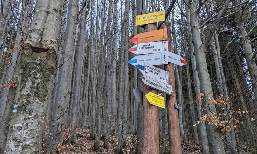 Przełęcz Przegibek