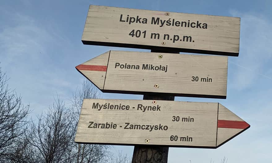 Mały Szlak Beskidzki na Myślenickiej Lipce