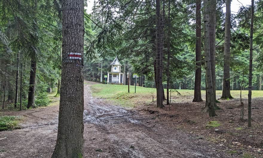 Czerwony szlak z Myślenic: kapliczka i Polana Mikołaj