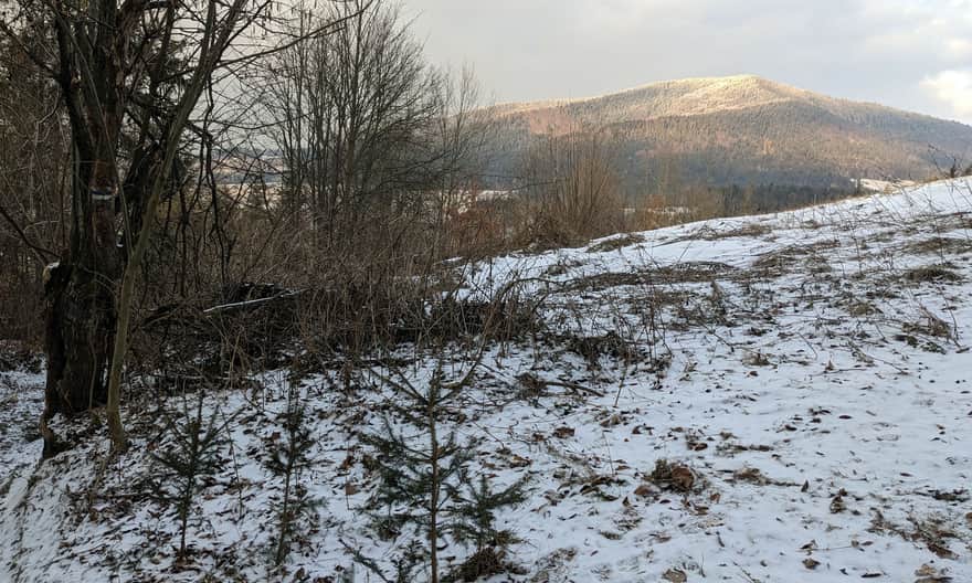 Łopień widziany z początku niebieskiego szlaku na Mogielicę z Jurkowa