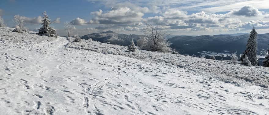 Ćwilin - widok na wschód