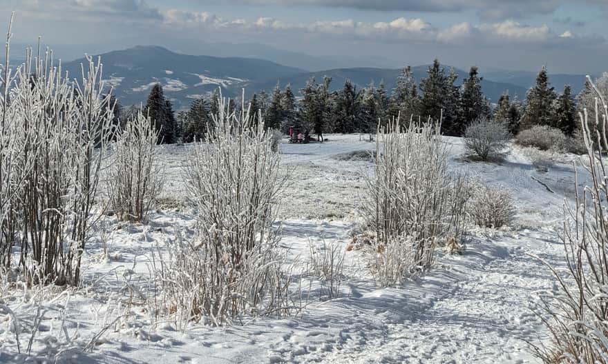 Polana Michurowa na Ćwilinie zimą - widok na zachód