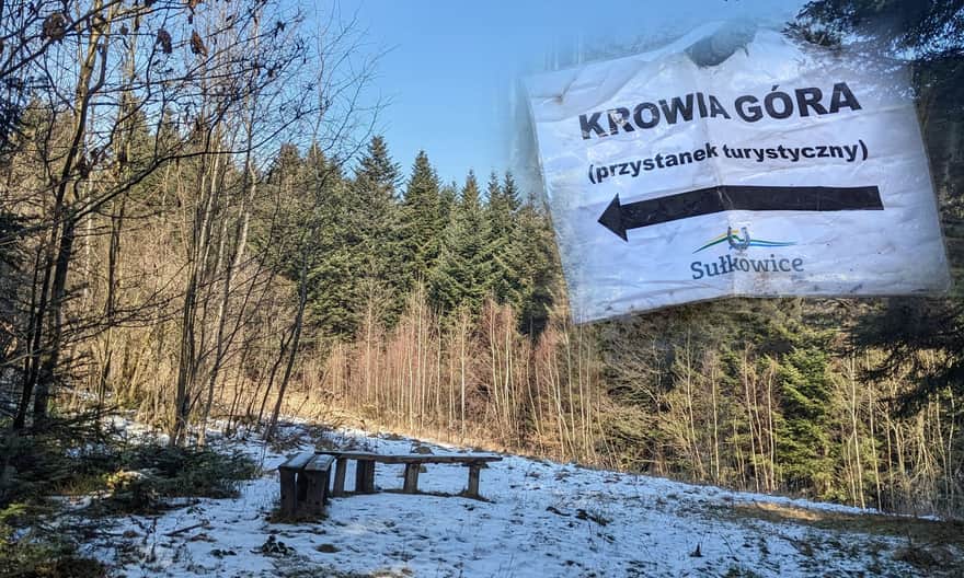 Miejsce odpoczynku pod Krowią Górą