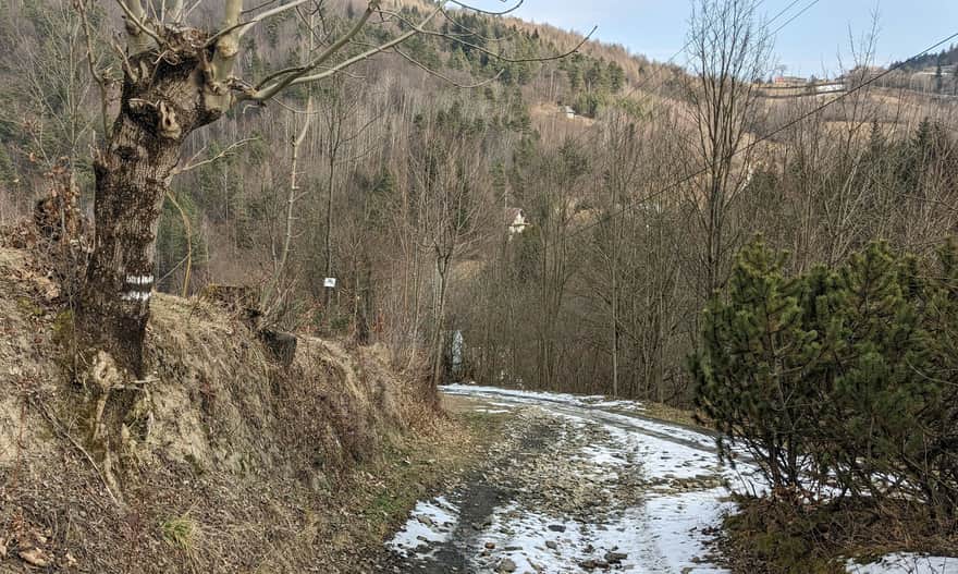 Zejscie drogą z os. Chodnikówka do doliny Harbutówki