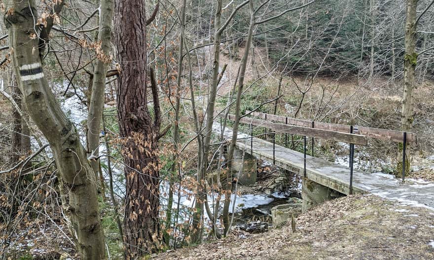 Czarny szlak Babica - Cisy Raciborskiego - Ruskówka. Mostek nad Harbutówką