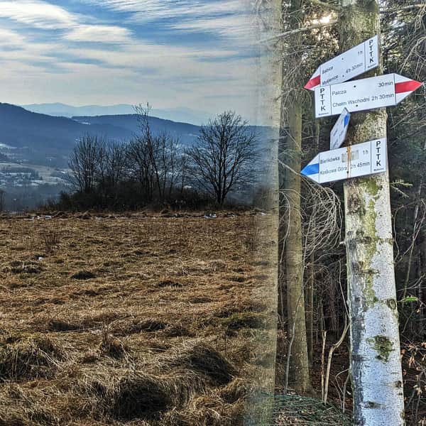 Beskid Makowski: Babica and Raciborski Yews