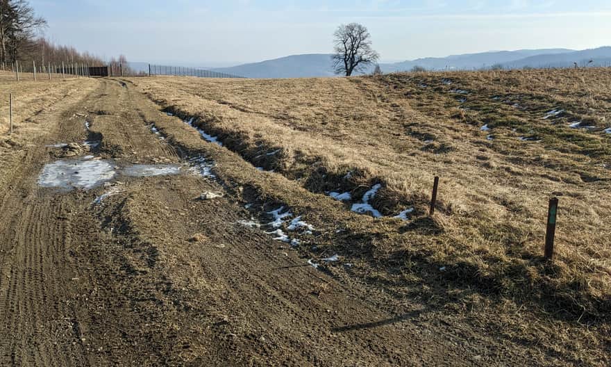 Z Przełęczy Sanguszki do Lasu Groby - punkt widokowy "samotny dąb" (zwany Dąbkiem)