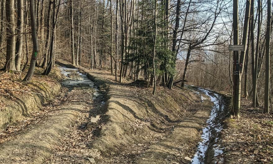 Skrzyżowanie szlaków: niebieski i "biało-czerwony" prowadzą drogą na wprost, "skrót" skręca w lewo