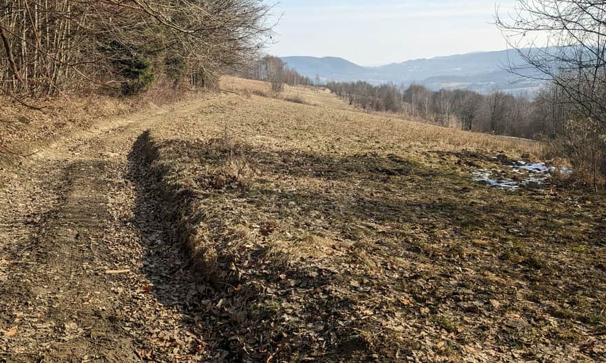 Z Przełęczy Sanguszki do Lasu Groby - wygodniejsza droga "okrężna" niebieskim szlakiem