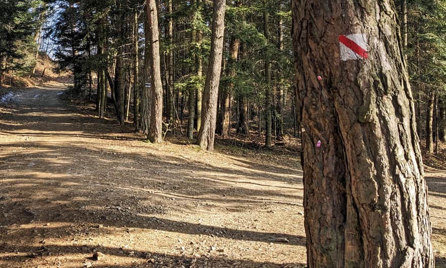 Biało-czerwone oznaczenia to "Konfederacka ścieżka w Harbutowicach"