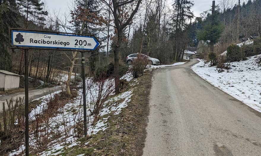 Czarny szlak Harbutowice - cisy Raciborskiego - Babica Zachodnia