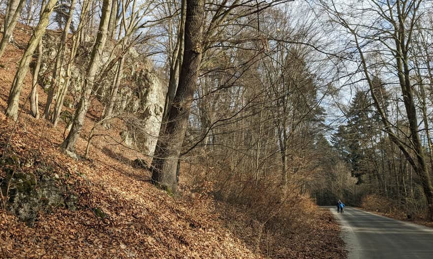 Droga serpentynowa: Ojców-Murownia.