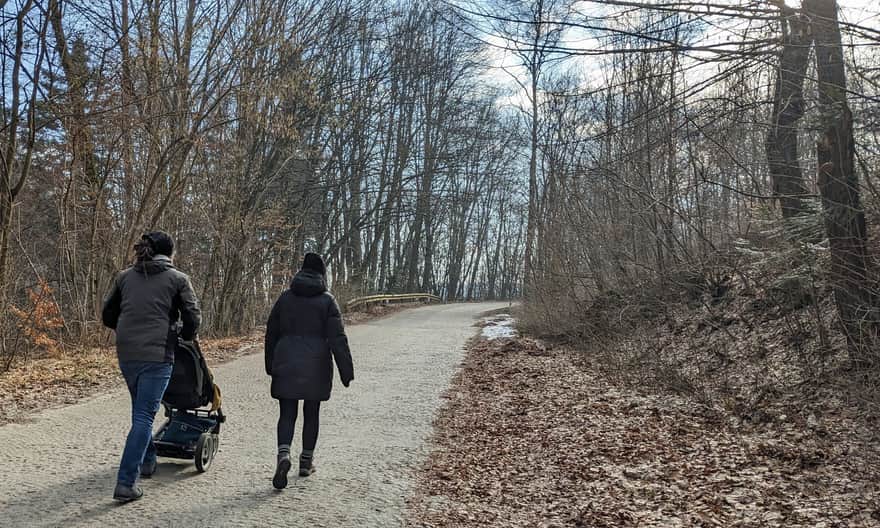 Droga serpentynowa: Ojców-Murownia